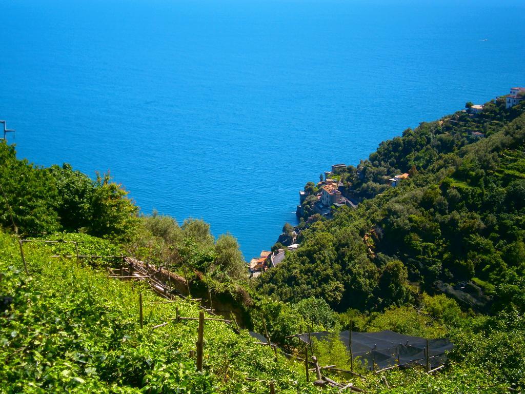 Villa En Rose Ravello Pokój zdjęcie